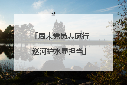 周末党员志愿行 巡河护水显担当