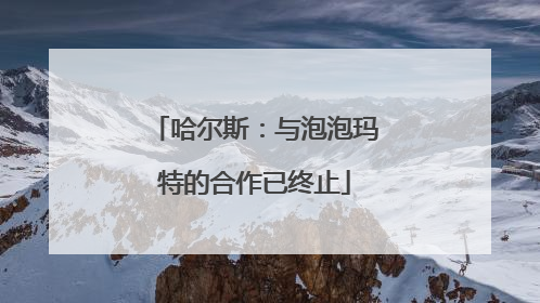 哈尔斯：与泡泡玛特的合作已终止