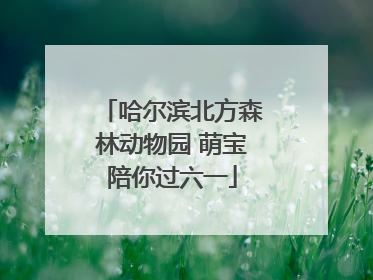 哈尔滨北方森林动物园 萌宝陪你过六一