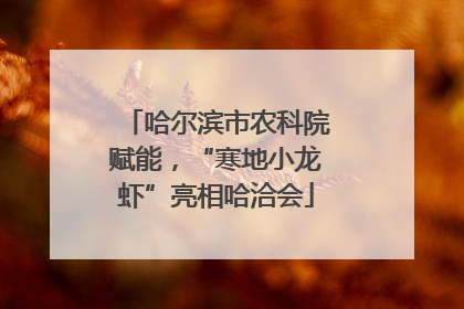 哈尔滨市农科院赋能，“寒地小龙虾”亮相哈洽会