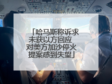 哈马斯称诉求未获以方回应 对美方加沙停火提案感到失望