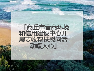 商丘市营商环境和信用建设中心开展麦收帮扶慰问活动暖人心