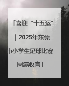 喜迎“十五运”｜2025年东莞市小学生足球比赛圆满收官