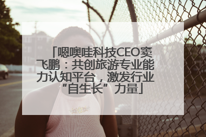嗯噢哇科技CEO窦飞鹏：共创旅游专业能力认知平台，激发行业“自生长”力量