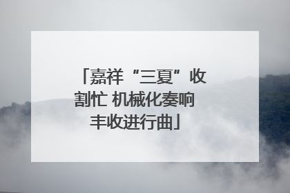 嘉祥“三夏”收割忙 机械化奏响丰收进行曲