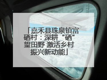 嘉禾县珠泉镇富硒村：深耕“硒”望田野 激活乡村振兴新动能