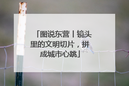 图说东营丨镜头里的文明切片，拼成城市心跳
