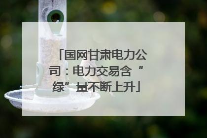 国网甘肃电力公司：电力交易含“绿”量不断上升