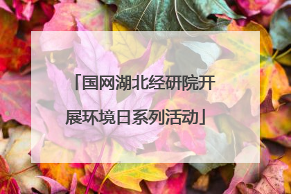国网湖北经研院开展环境日系列活动