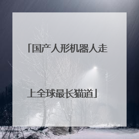 国产人形机器人走上全球最长猫道
