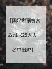 国足世预赛客战印尼25人大名单出炉
