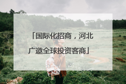 国际化招商，河北广邀全球投资客商