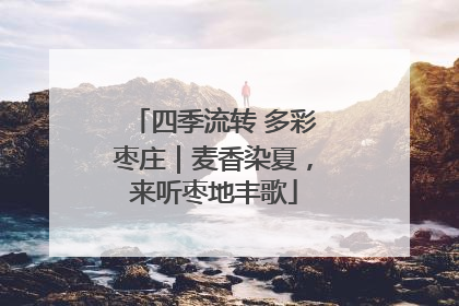 四季流转 多彩枣庄｜麦香染夏，来听枣地丰歌