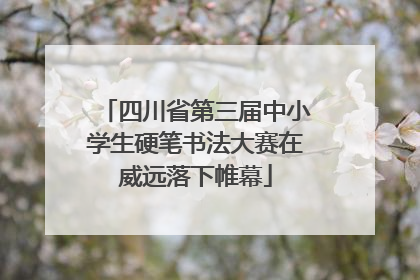 四川省第三届中小学生硬笔书法大赛在威远落下帷幕