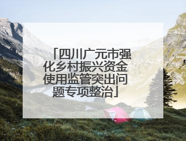 四川广元市强化乡村振兴资金使用监管突出问题专项整治