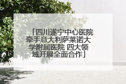 四川遂宁中心医院牵手意大利萨莱诺大学附属医院 四大领域开展全面合作
