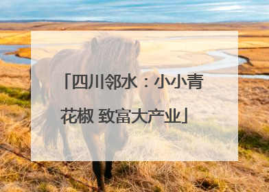 四川邻水：小小青花椒 致富大产业