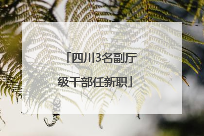 四川3名副厅级干部任新职