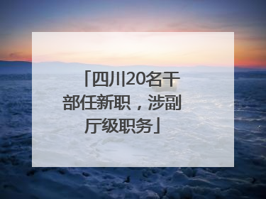 四川20名干部任新职，涉副厅级职务