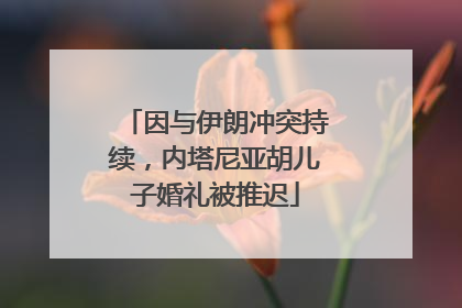 因与伊朗冲突持续，内塔尼亚胡儿子婚礼被推迟