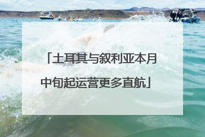土耳其与叙利亚本月中旬起运营更多直航