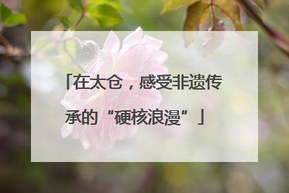 在太仓，感受非遗传承的“硬核浪漫”