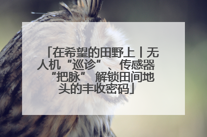 在希望的田野上丨无人机“巡诊”、传感器“把脉” 解锁田间地头的丰收密码