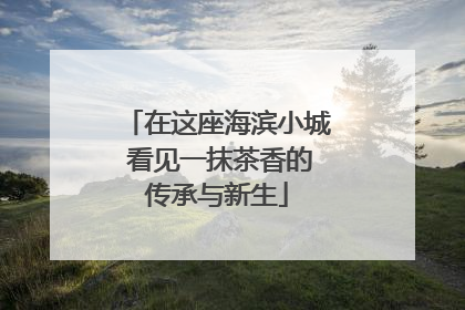 在这座海滨小城 看见一抹茶香的传承与新生