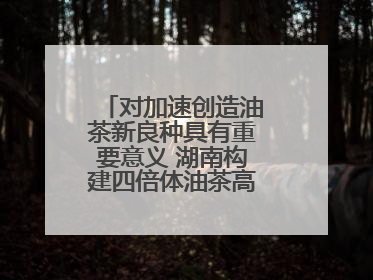 对加速创造油茶新良种具有重要意义 湖南构建四倍体油茶高精度基因图谱