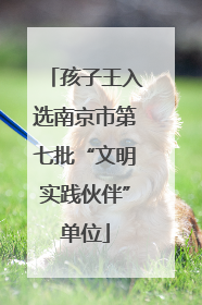 孩子王入选南京市第七批“文明实践伙伴”单位
