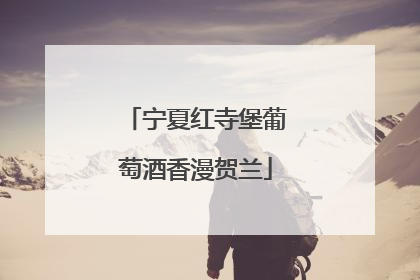 宁夏红寺堡葡萄酒香漫贺兰