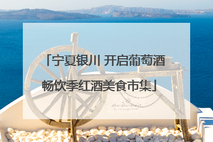 宁夏银川 开启葡萄酒畅饮季红酒美食市集