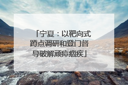 宁夏：以靶向式蹲点调研和登门督导破解顽瘴痼疾