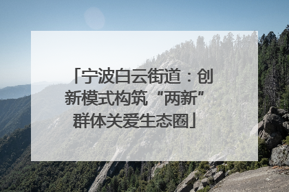 宁波白云街道：创新模式构筑“两新”群体关爱生态圈