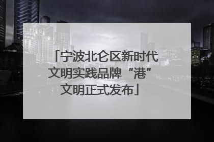 宁波北仑区新时代文明实践品牌“港”文明正式发布