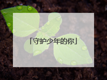 守护少年的你