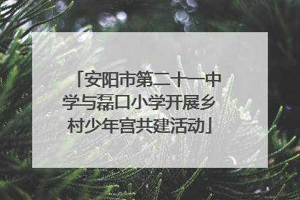 安阳市第二十一中学与磊口小学开展乡村少年宫共建活动
