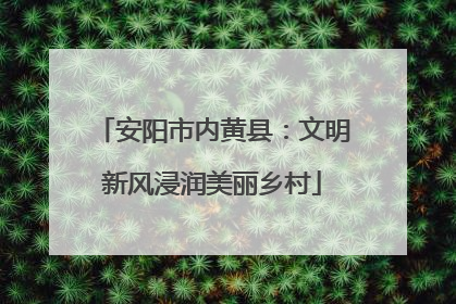 安阳市内黄县：文明新风浸润美丽乡村