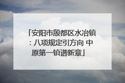 安阳市殷都区水冶镇：八项规定引方向 中原第一镇谱新章