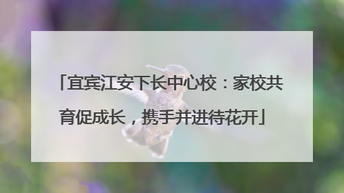 宜宾江安下长中心校：家校共育促成长，携手并进待花开