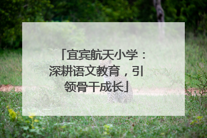 宜宾航天小学：深耕语文教育，引领骨干成长