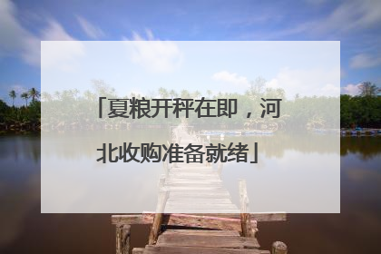 夏粮开秤在即，河北收购准备就绪