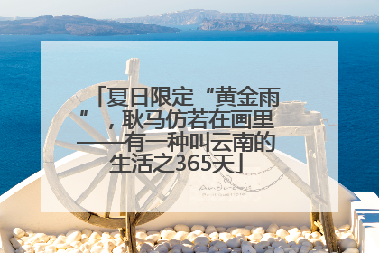 夏日限定“黄金雨”，耿马仿若在画里——有一种叫云南的生活之365天