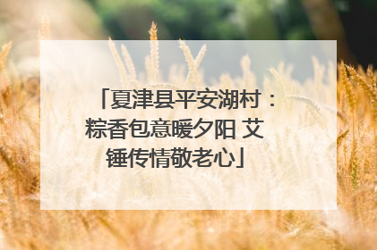 夏津县平安湖村：粽香包意暖夕阳 艾锤传情敬老心