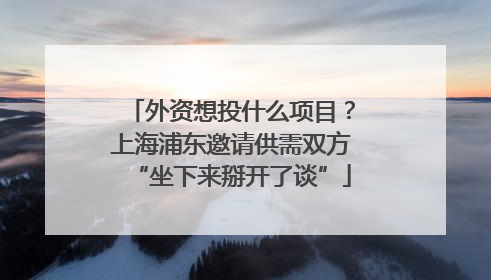 外资想投什么项目？上海浦东邀请供需双方“坐下来掰开了谈”