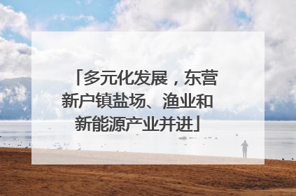 多元化发展，东营新户镇盐场、渔业和新能源产业并进