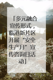 多元融合宣传形式，临港新片区开展“安全生产月”宣传咨询日活动