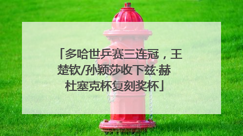 多哈世乒赛三连冠，王楚钦/孙颖莎收下兹·赫杜塞克杯复刻奖杯