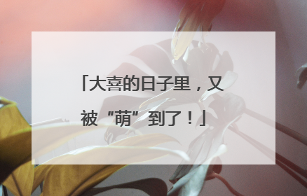 大喜的日子里，又被“萌”到了！