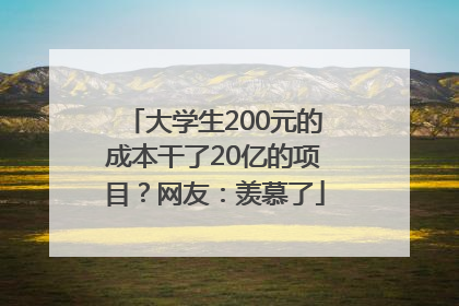 大学生200元的成本干了20亿的项目？网友：羡慕了